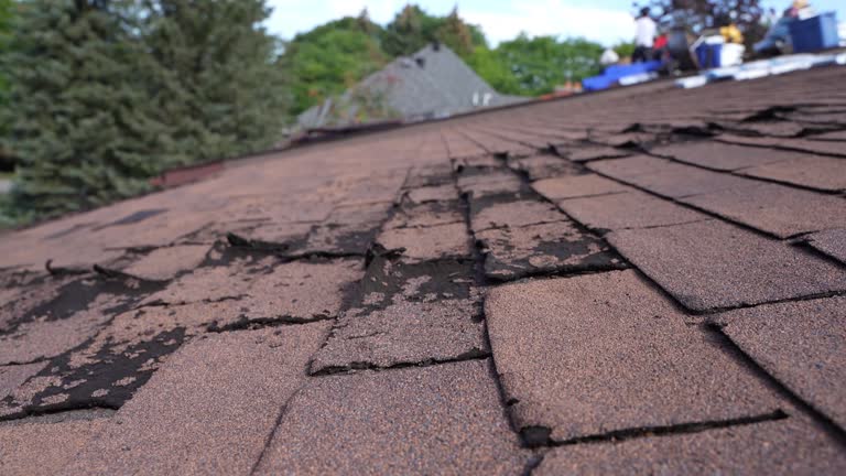 Best Chimney Flashing Repair  in Steelevle, IL