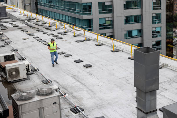 Trusted Steeleville, IL Roofing Services Experts